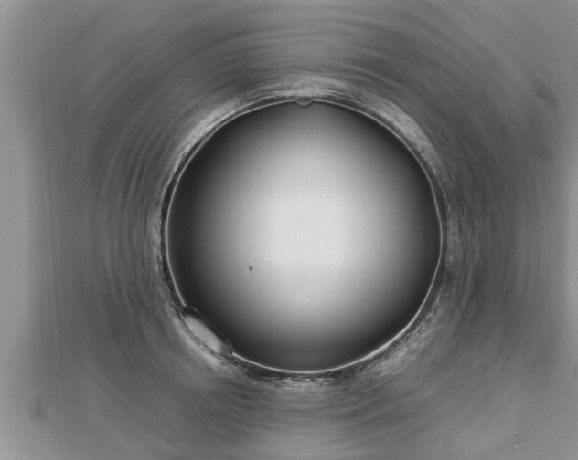 X0000112790850200908281505