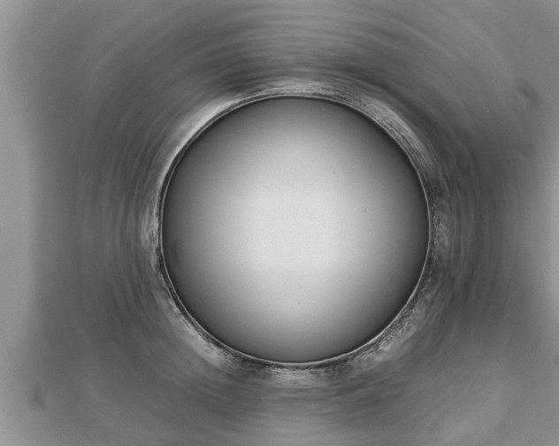 X0000112790852200908281505