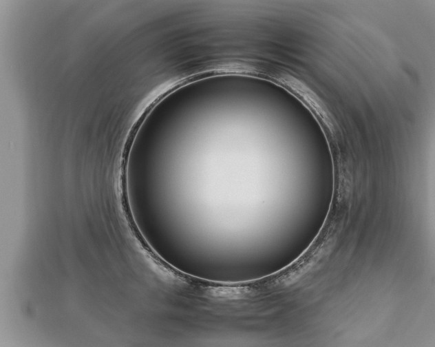 X0000112790853200908281505