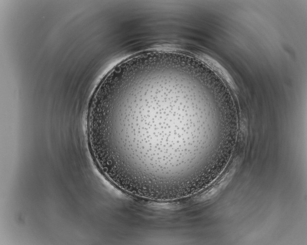 X0000112790855200908281505