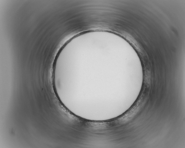 X0000112790856200908281505