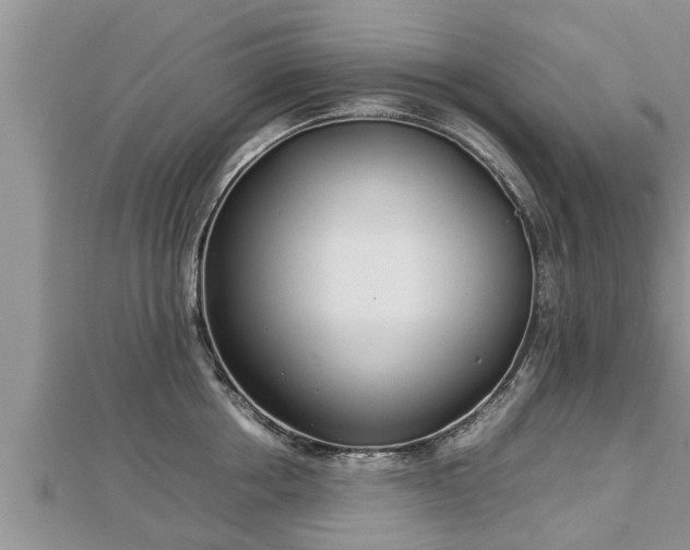 X0000112790858200908281505