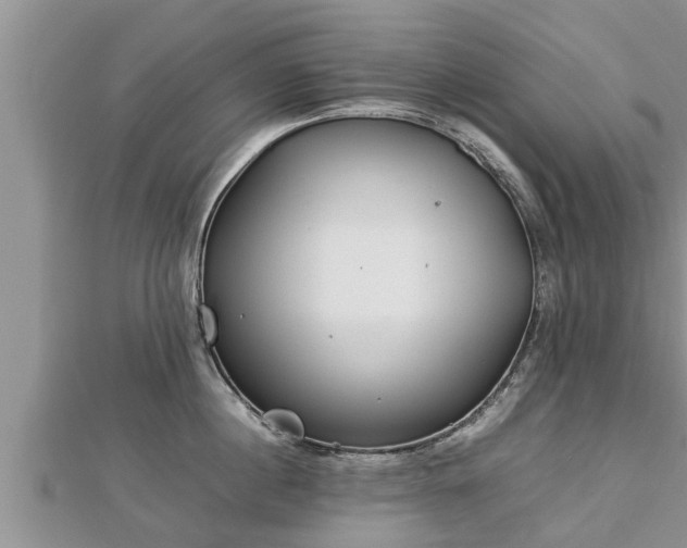 X0000112790860200908281505