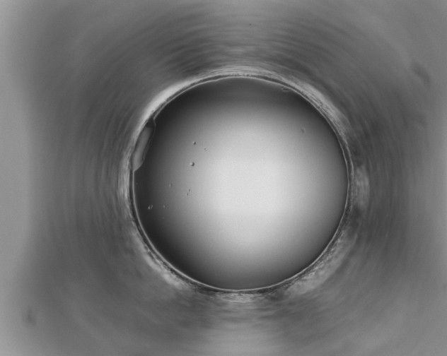 X0000112790862200908281505