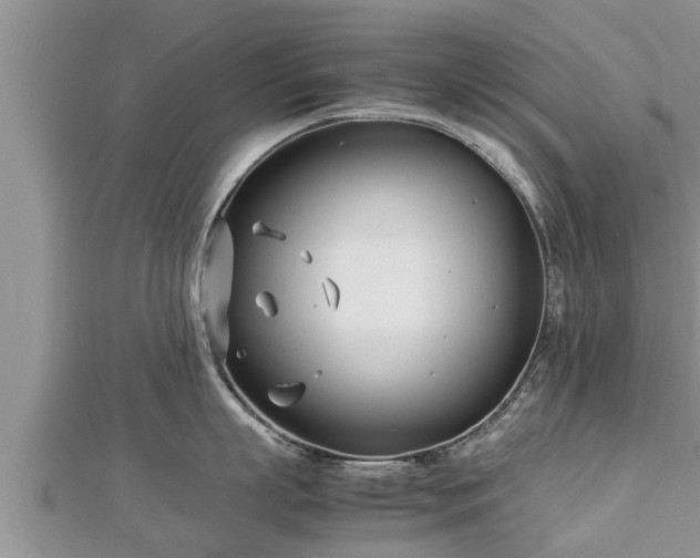 X0000112790863200908281505