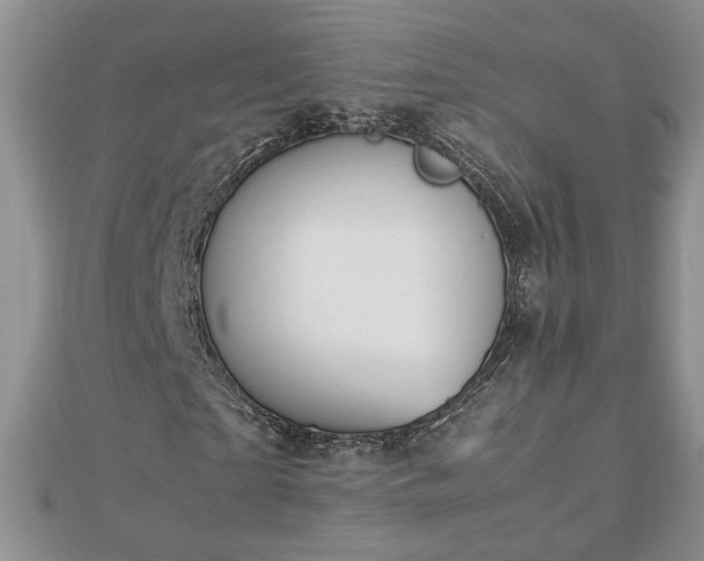 X0000112790865200908281505