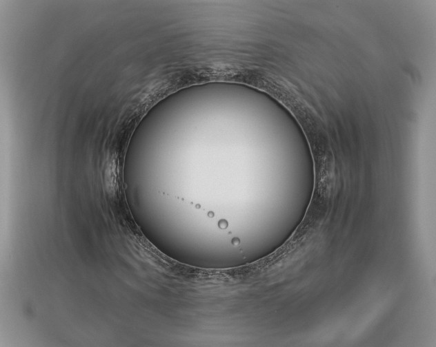 X0000112790866200908281505