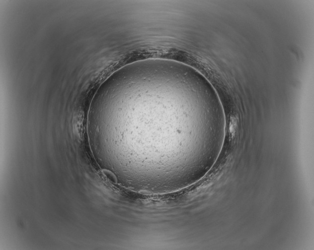 X0000112790867200908281505