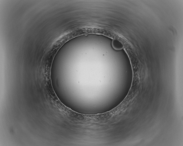 X0000112790870200908281504