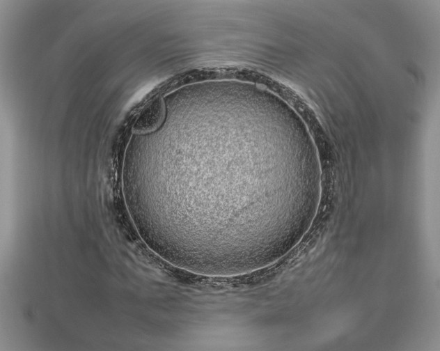 X0000112790871200908281504