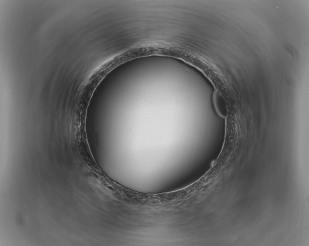 X0000112790872200908281504