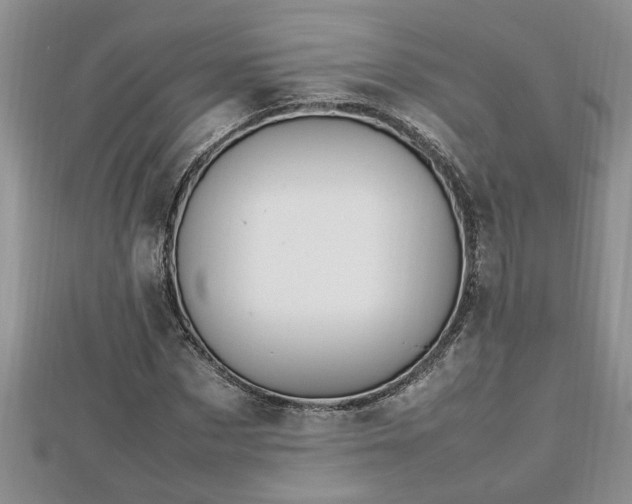 X0000112790873200908281504