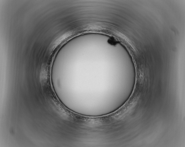 X0000112790874200908281504