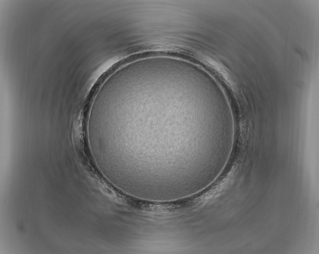 X0000112790875200908281504