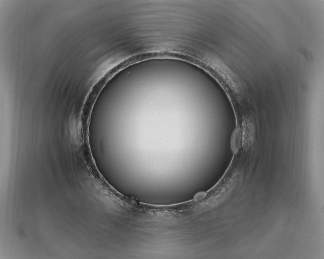 X0000112790876200908281504