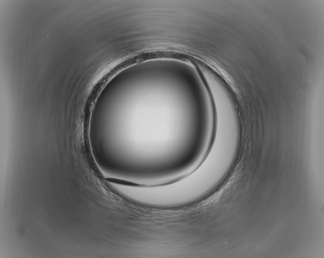 X0000112790877200908281504