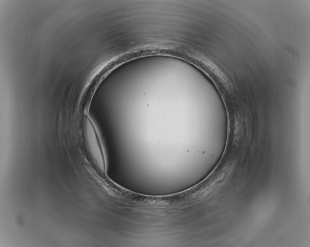 X0000112790878200908281504