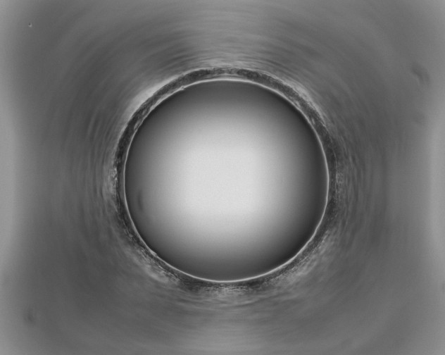 X0000112790879200908281504