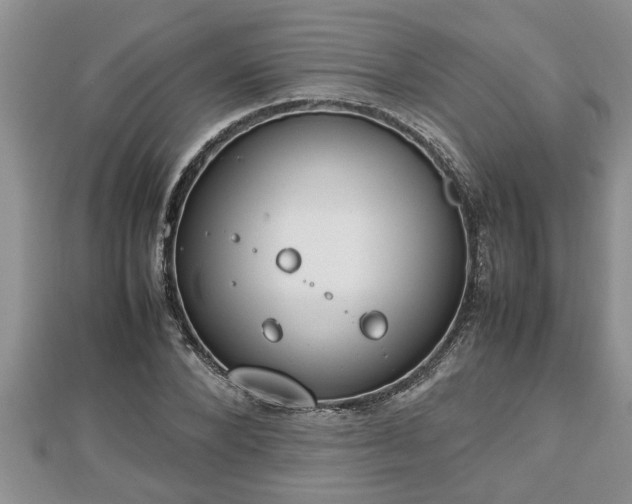 X0000112790880200908281504