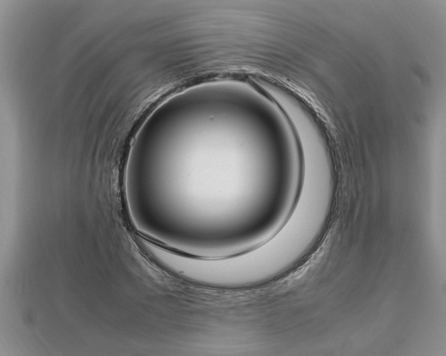 X0000112790881200908281504