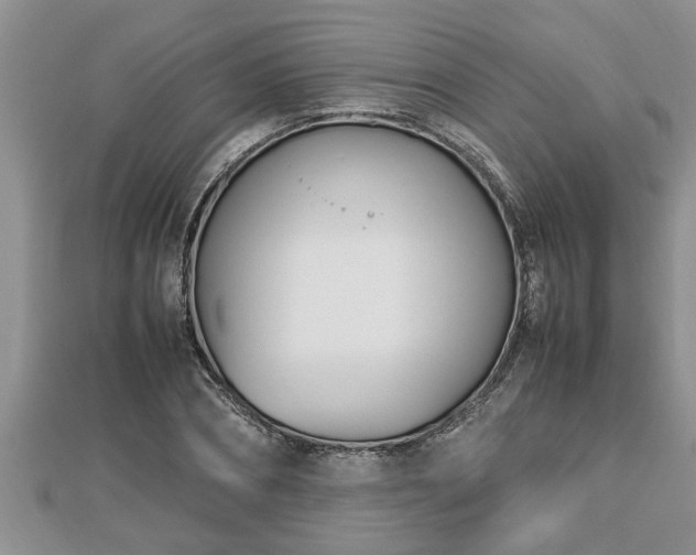 X0000112790882200908281504