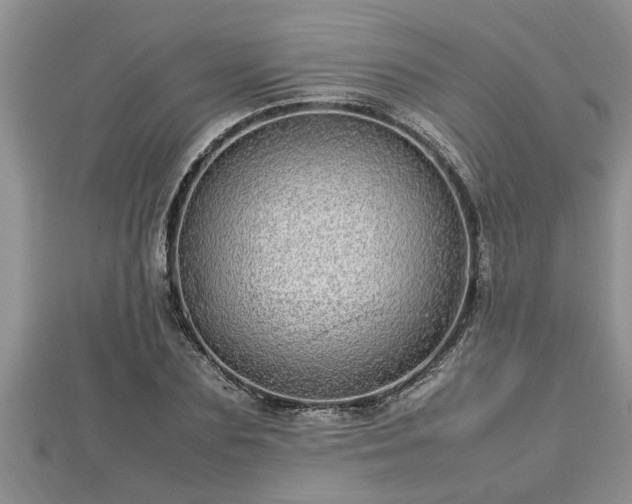 X0000112790883200908281504