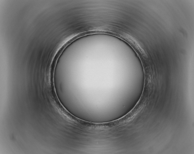 X0000112790884200908281504