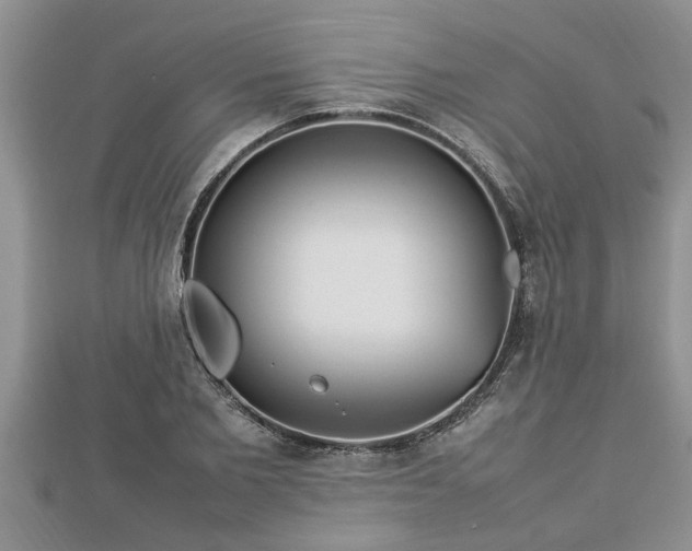 X0000112790885200908281504