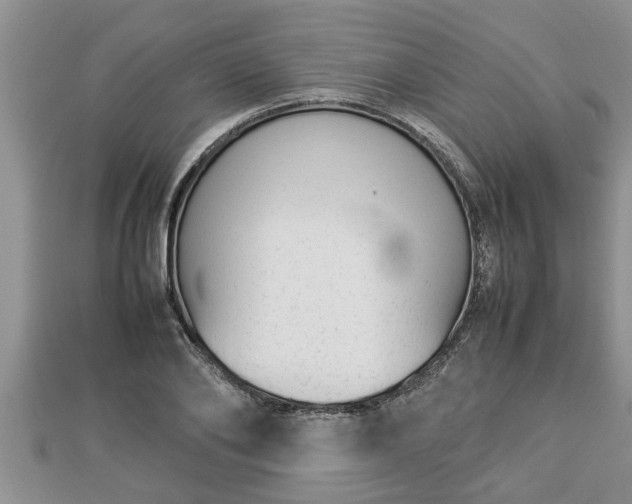 X0000112790886200908281504