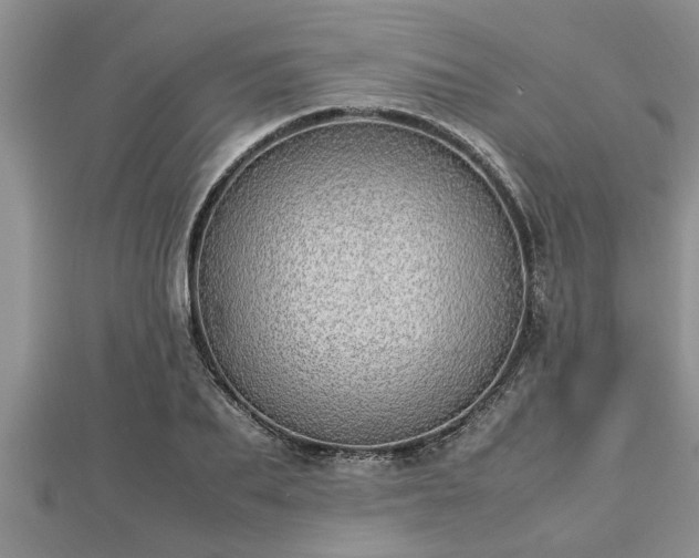 X0000112790887200908281504