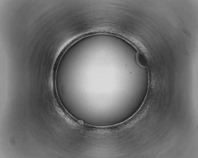 X0000112790888200908281504