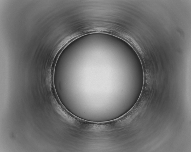 X0000112790890200908281504