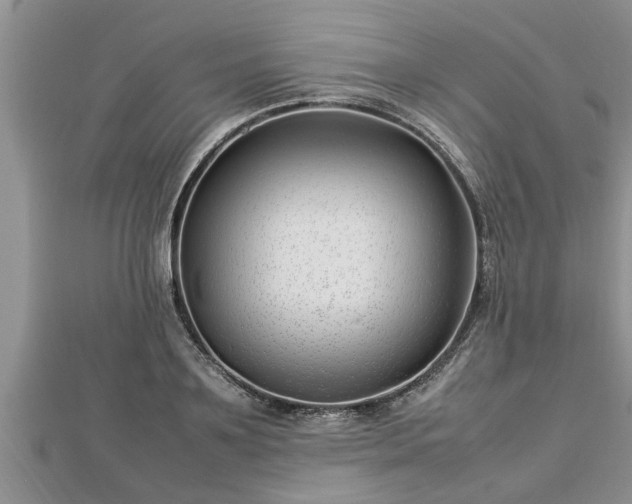 X0000112790891200908281504