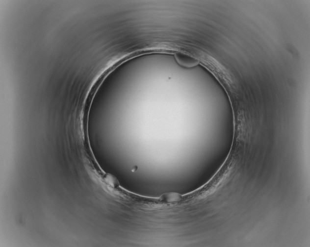 X0000112790892200908281504