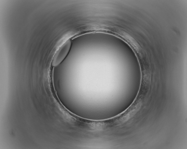 X0000112790893200908281504