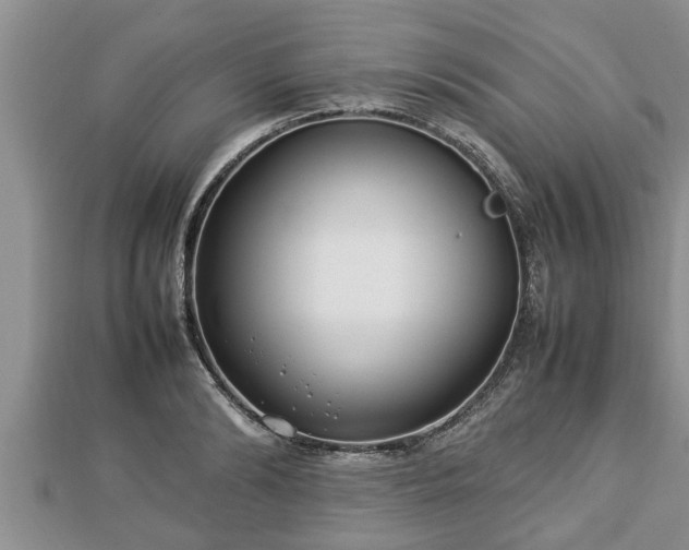 X0000112790894200908281504