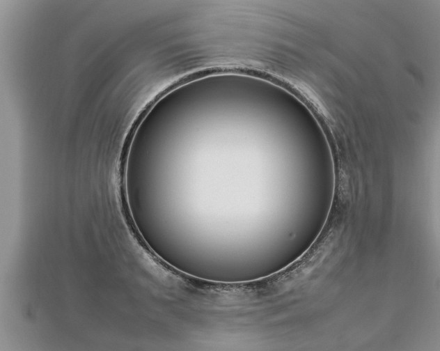 X0000112790895200908281504