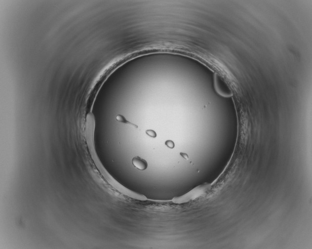 X0000112790896200908281504