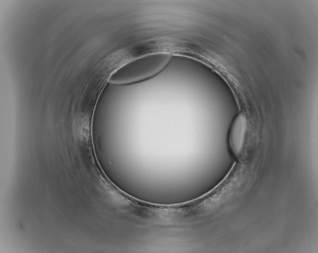 X0000112790897200908281504