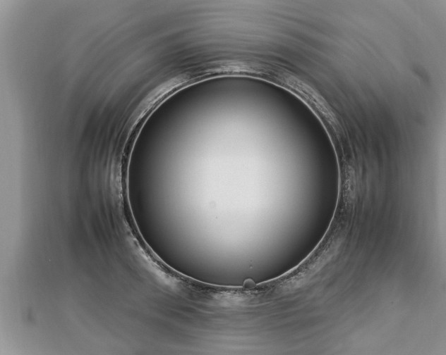 X0000112790898200908281504