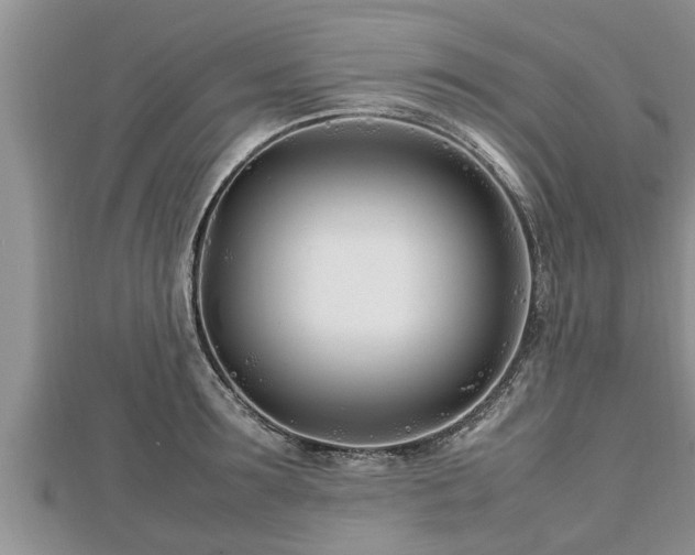 X0000112790899200908281504