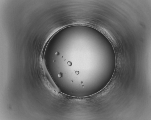 X0000112790900200908281504