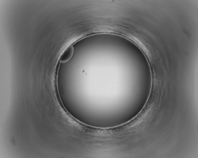 X0000112790901200908281504