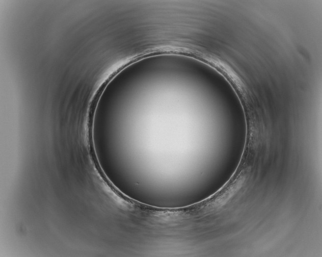 X0000112790902200908281504