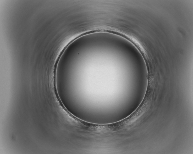 X0000112790903200908281504