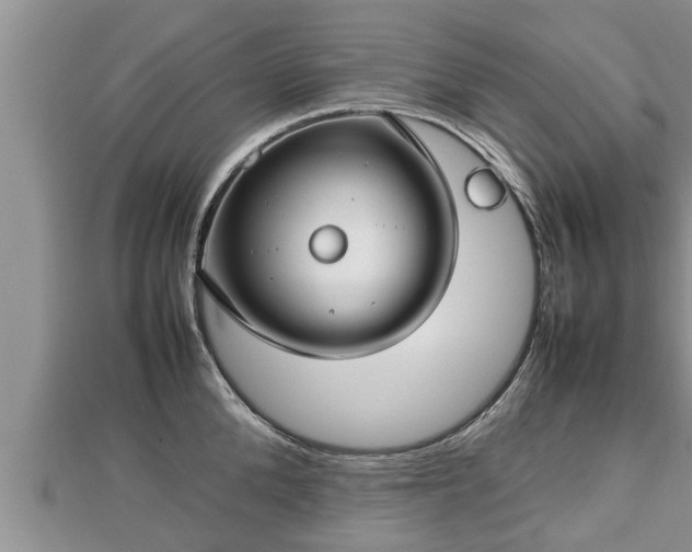 X0000112790904200908281504