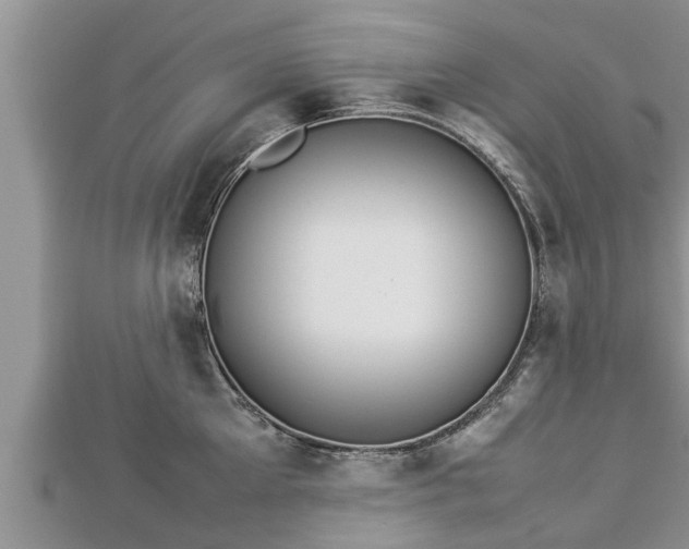 X0000112790905200908281504