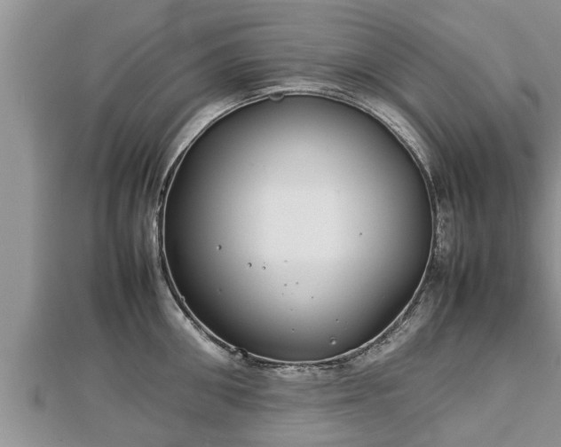 X0000112790906200908281504