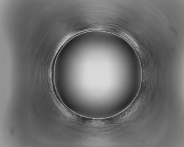 X0000112790907200908281504