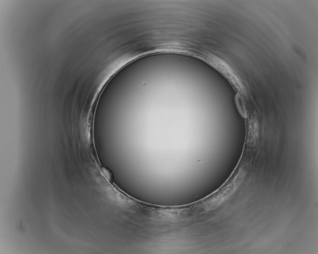 X0000112790908200908281504